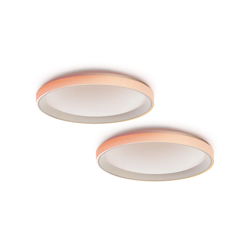 LED Ceiling Light T1M(2 Pack)