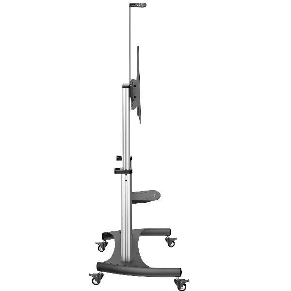 Startech.com mobile tv stand girevole su ruote - carrello porta tv resistente per schermi da 60-100" (100kg) - supporto tv da pavimento universale con ripiani - STNDMTV100
