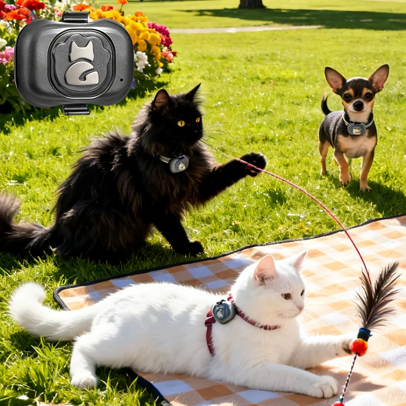 (G16)Localizzatore GPS per Cani e Gatti Impermeabile con App Gratuita – Tracciamento in Tempo Reale, Allarme Perimetrale, Cronologia Spostamenti, Batteria Ricaricabile 650mAh – Funziona con Scheda Nano SIM 2G – Monitora il Tuo Pet da Telefono o PC