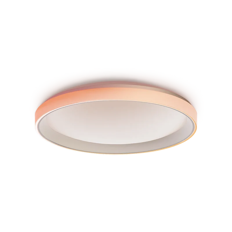 LED Ceiling Light T1M