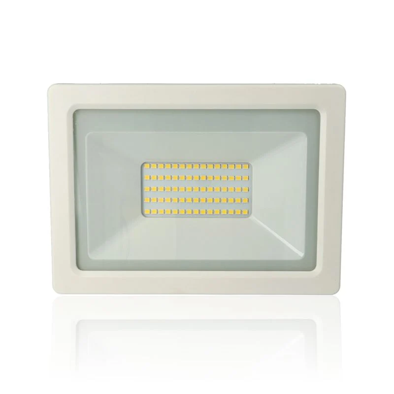 Proiettore LED, 50W, 220Vac, Luce Naturale, Bianco