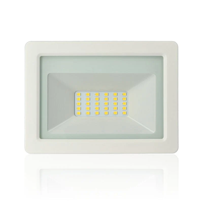 Proiettore LED, 20W, 220Vac, Luce Naturale, Bianco