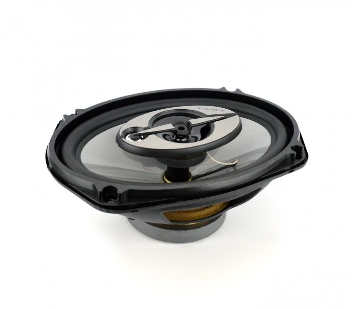Paire de haut-parleurs 6x9 cm 1000W pour distribution de voiture